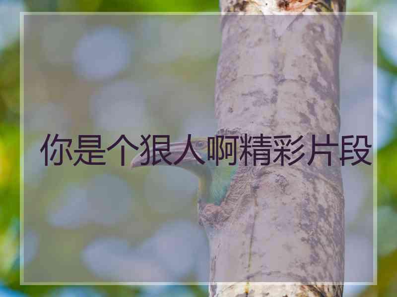 你是个狠人啊精彩片段