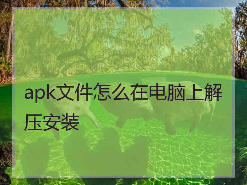 apk文件怎么在电脑上解压安装