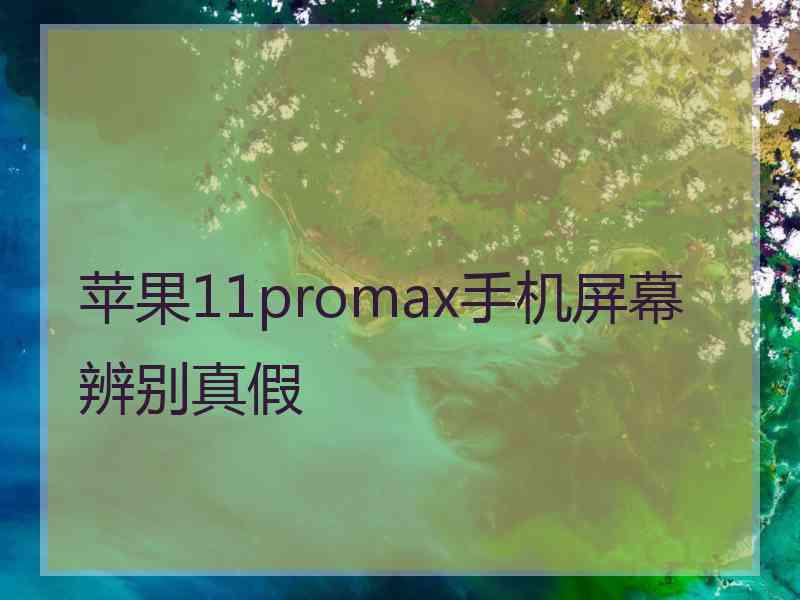 苹果11promax手机屏幕辨别真假