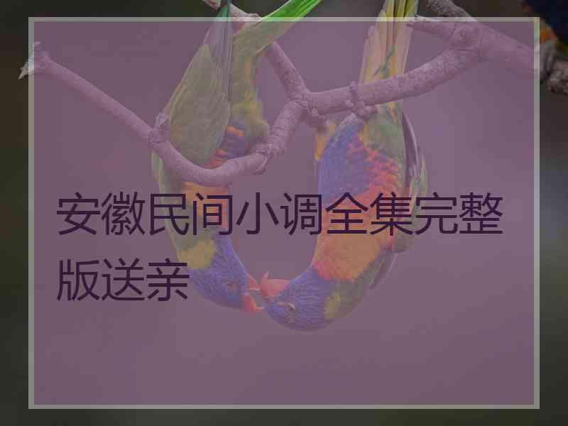 安徽民间小调全集完整版送亲