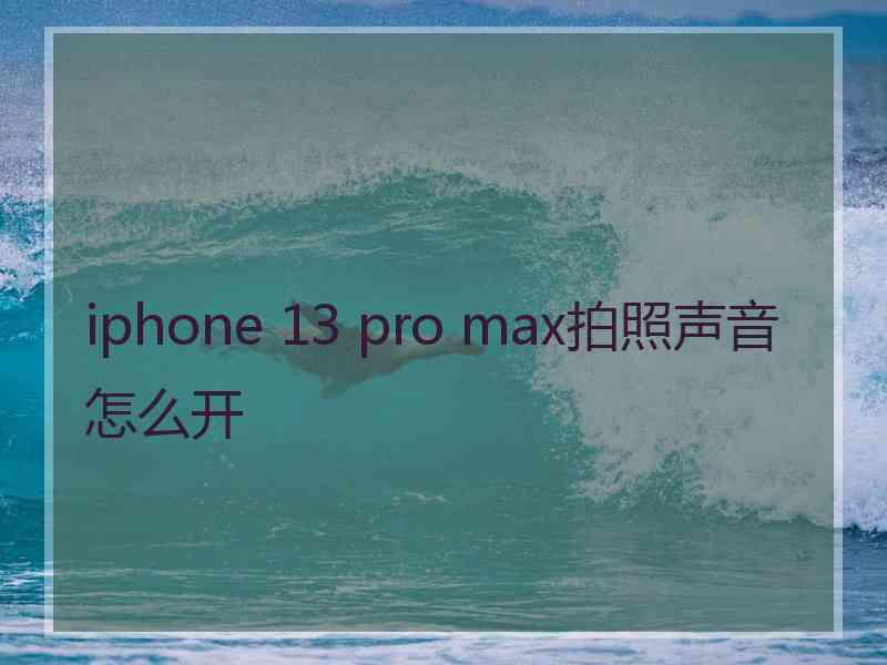 iphone 13 pro max拍照声音怎么开