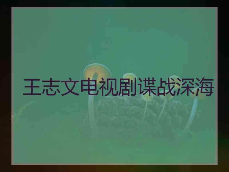 王志文电视剧谍战深海