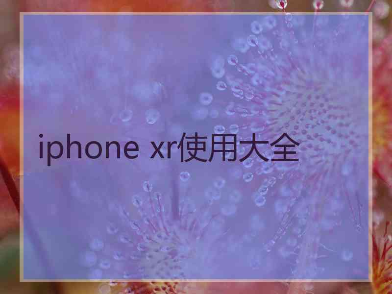 iphone xr使用大全