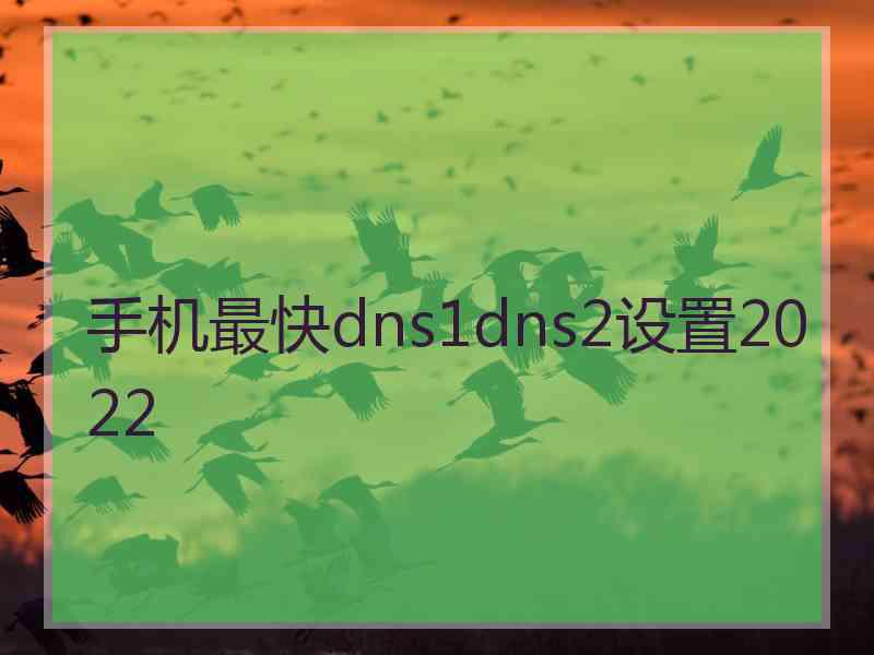 手机最快dns1dns2设置2022