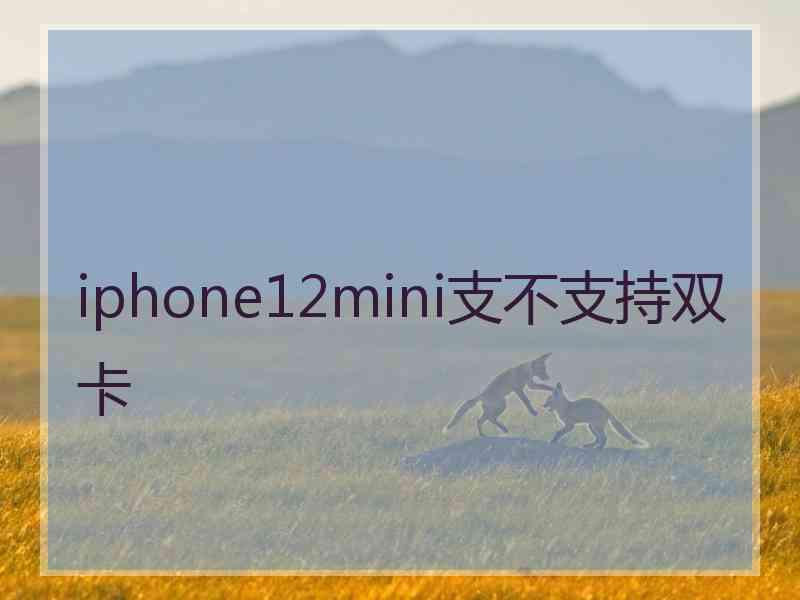 iphone12mini支不支持双卡