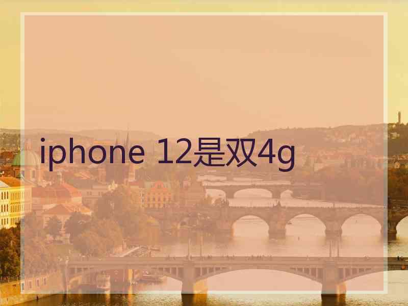 iphone 12是双4g