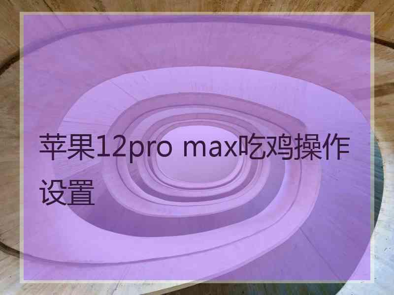 苹果12pro max吃鸡操作设置