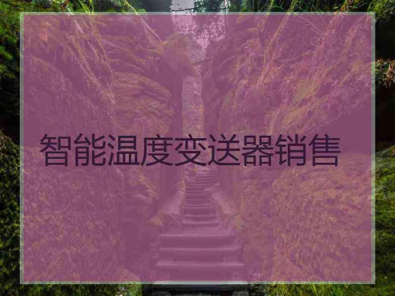 智能温度变送器销售