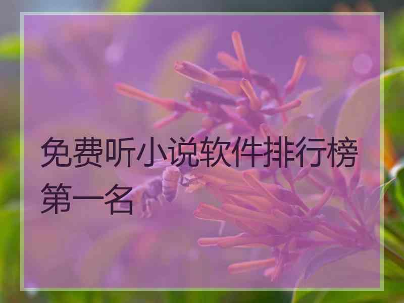 免费听小说软件排行榜第一名