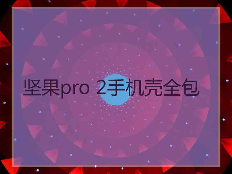 坚果pro 2手机壳全包