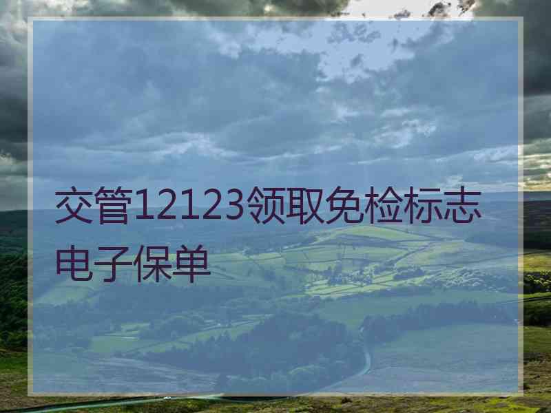 交管12123领取免检标志电子保单