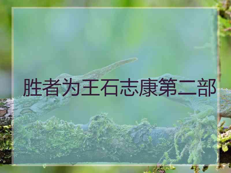 胜者为王石志康第二部