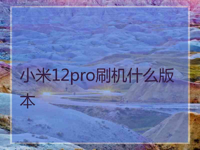 小米12pro刷机什么版本