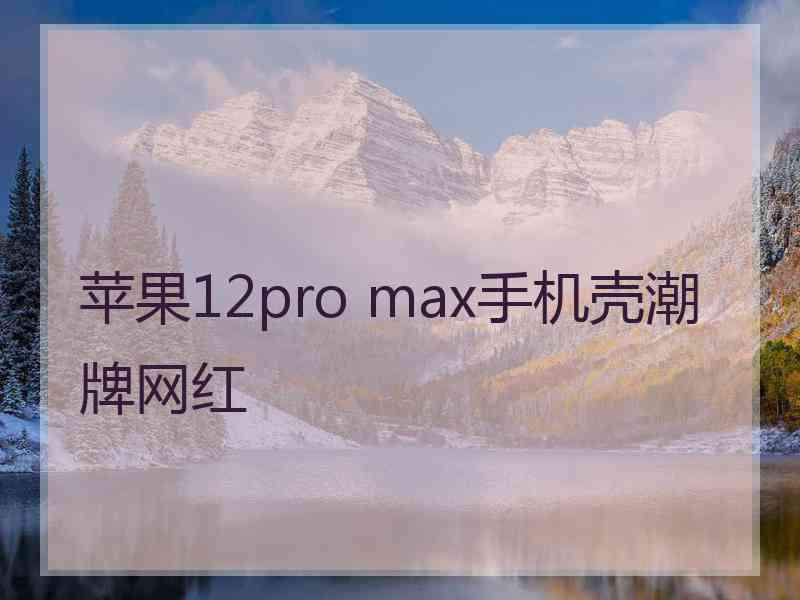 苹果12pro max手机壳潮牌网红