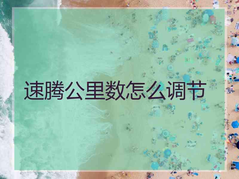 速腾公里数怎么调节