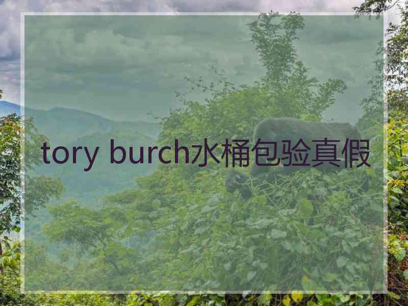 tory burch水桶包验真假