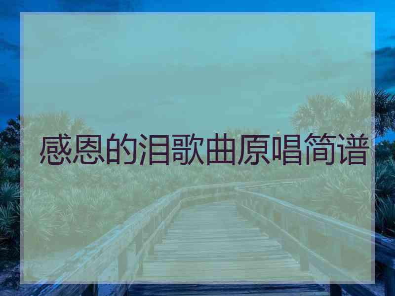 感恩的泪歌曲原唱简谱