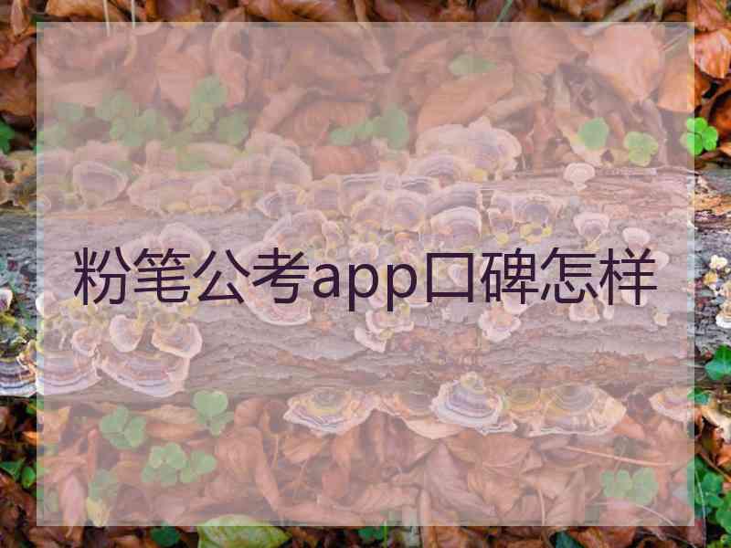 粉笔公考app口碑怎样