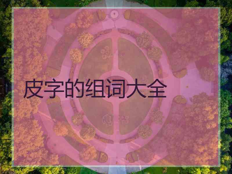 皮字的组词大全