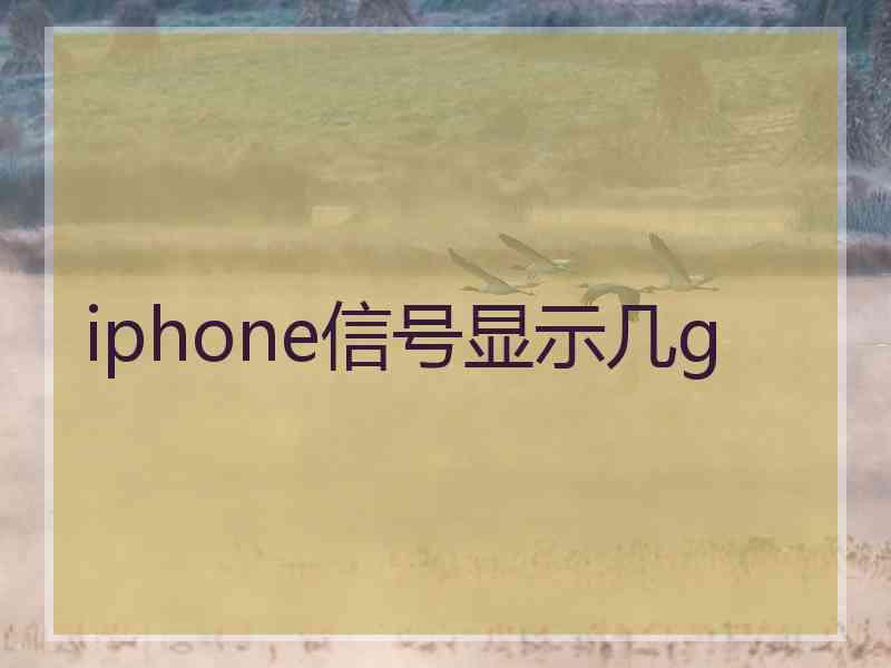 iphone信号显示几g