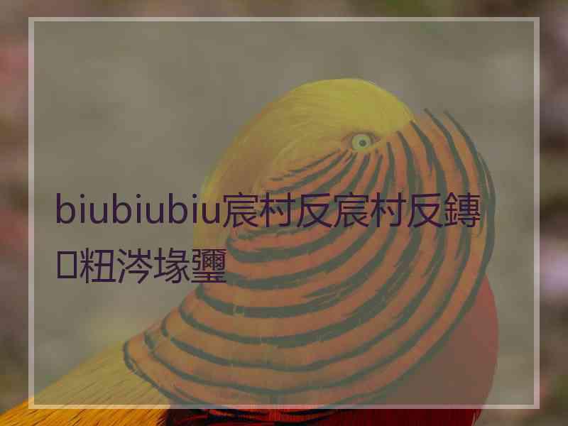 biubiubiu宸村反宸村反鏄粈涔堟瓕