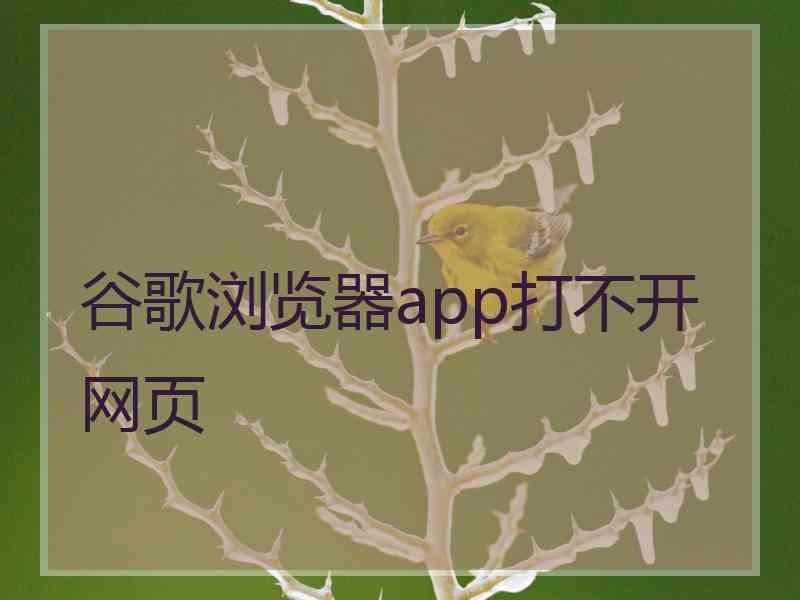 谷歌浏览器app打不开网页