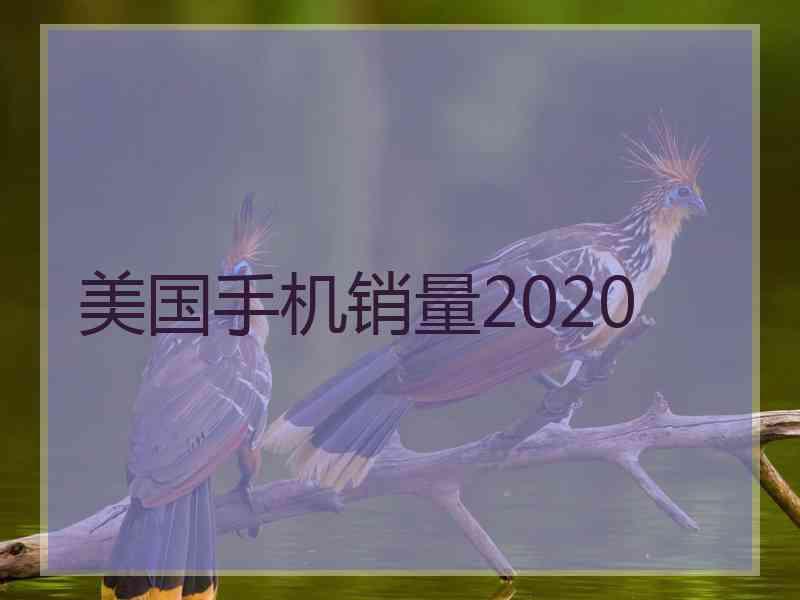 美国手机销量2020