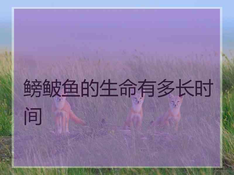 鳑鲏鱼的生命有多长时间