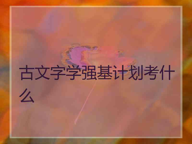 古文字学强基计划考什么