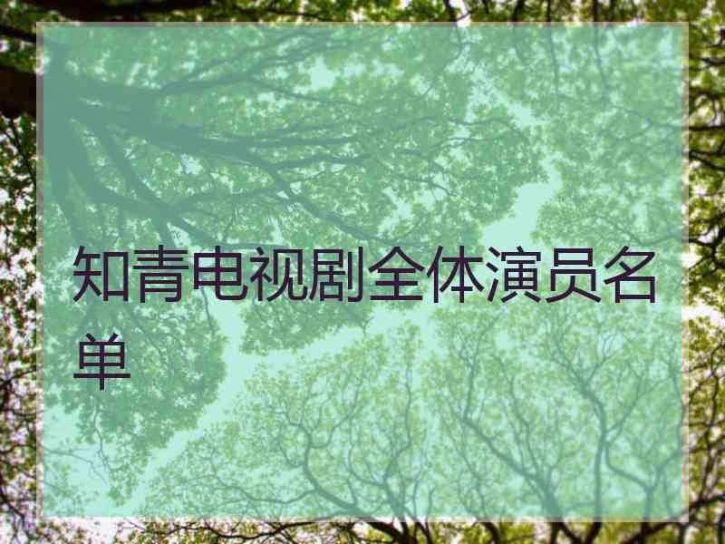 知青电视剧全体演员名单