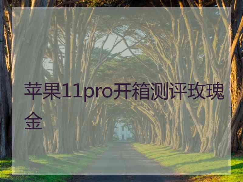 苹果11pro开箱测评玫瑰金