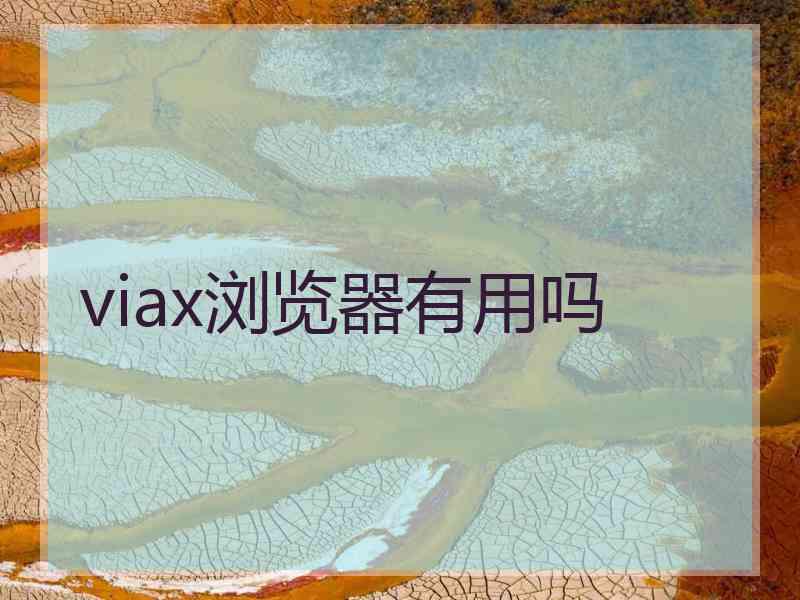 viax浏览器有用吗