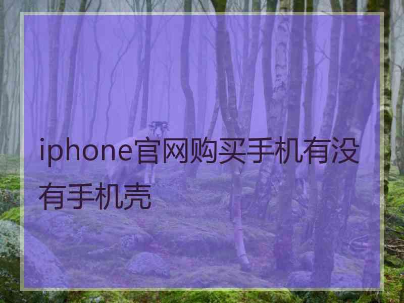 iphone官网购买手机有没有手机壳