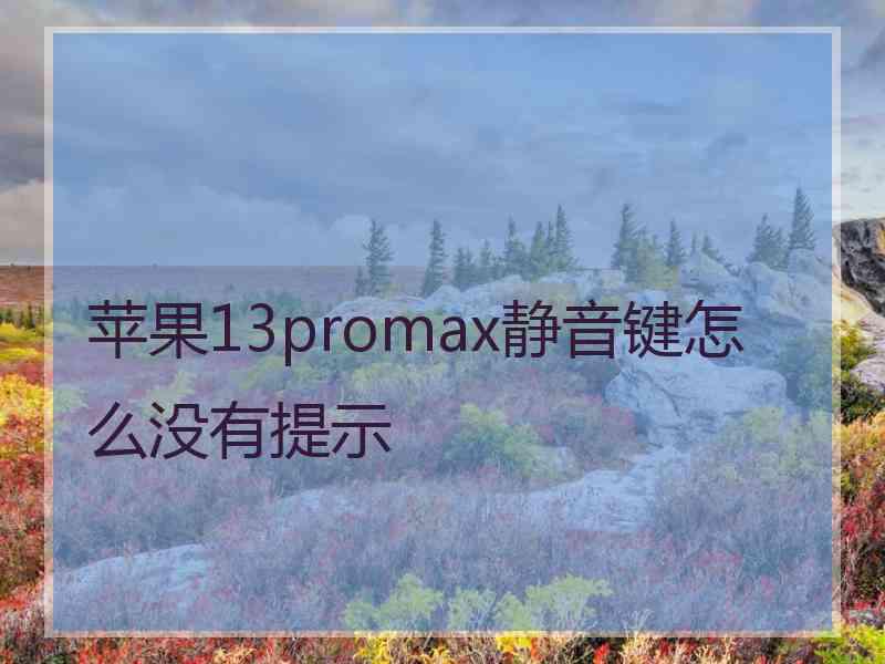 苹果13promax静音键怎么没有提示