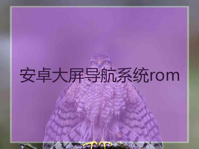 安卓大屏导航系统rom