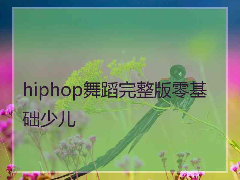 hiphop舞蹈完整版零基础少儿