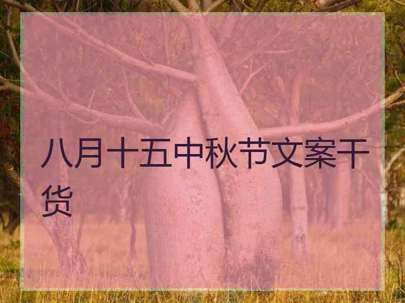 八月十五中秋节文案干货