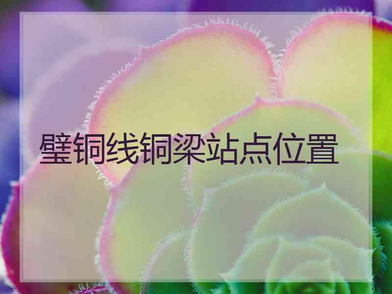 璧铜线铜梁站点位置