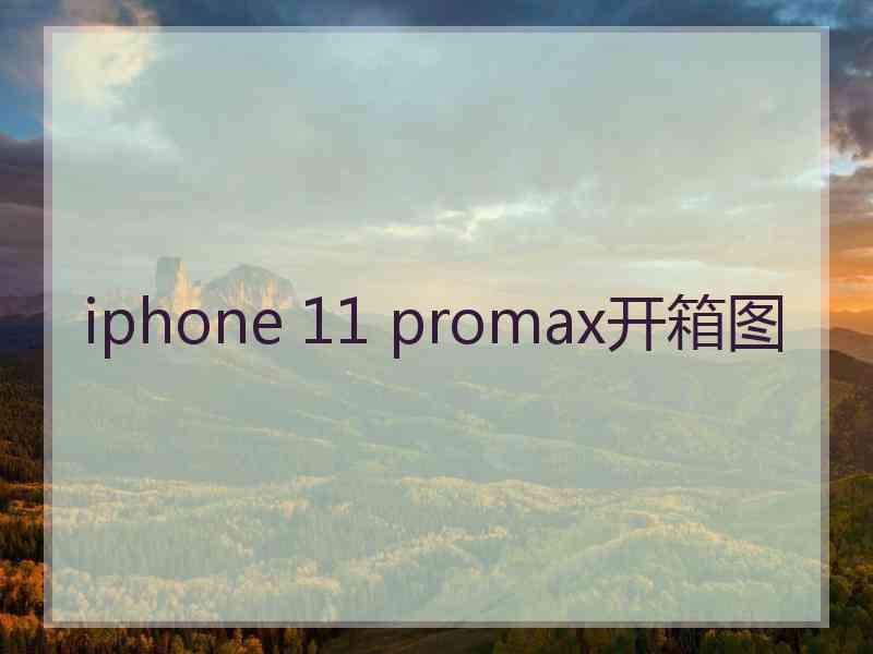 iphone 11 promax开箱图