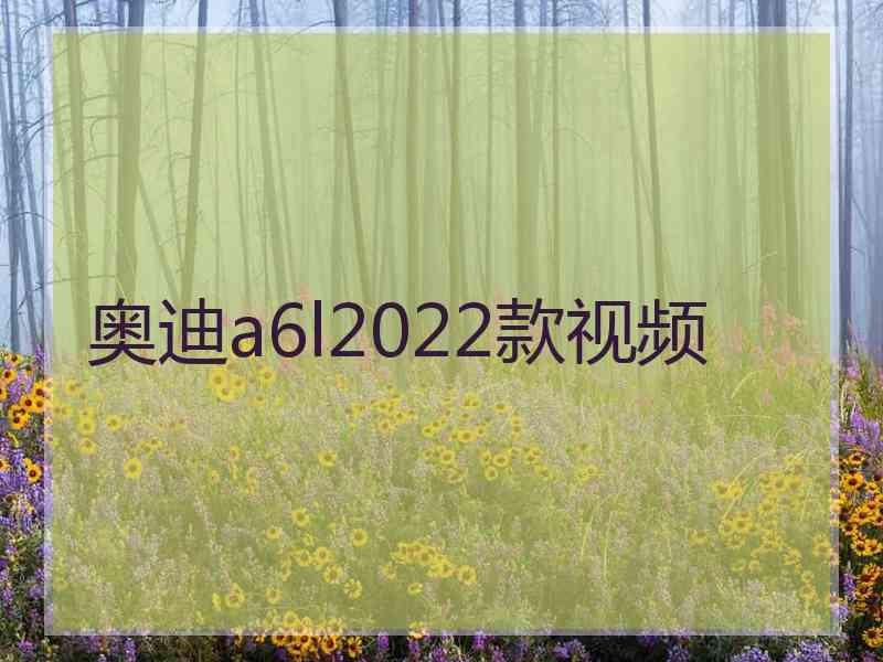 奥迪a6l2022款视频