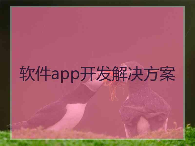 软件app开发解决方案