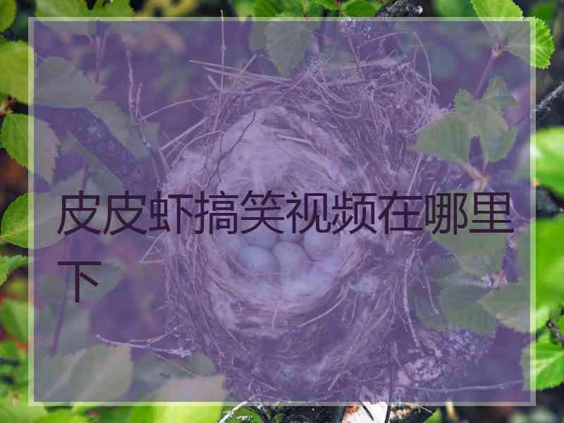 皮皮虾搞笑视频在哪里下