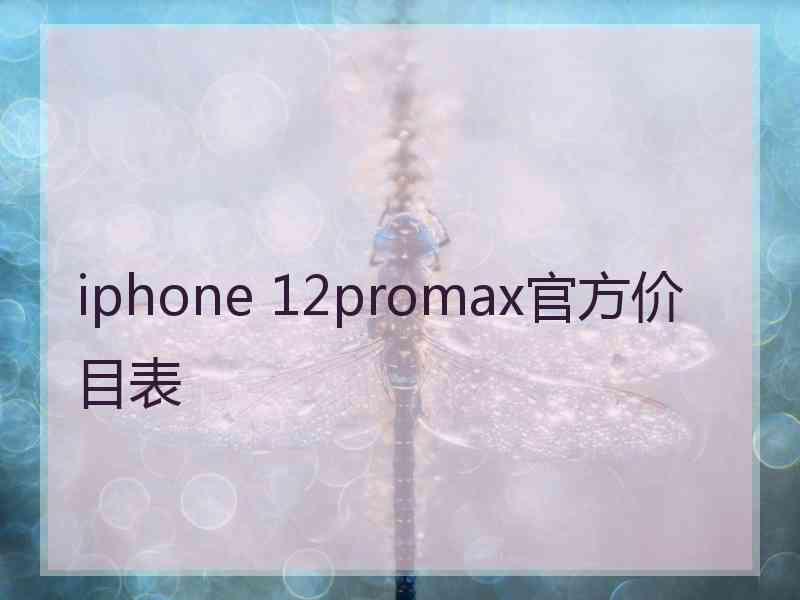 iphone 12promax官方价目表