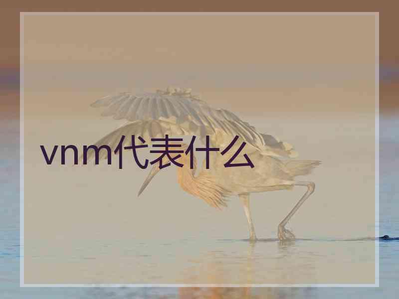 vnm代表什么