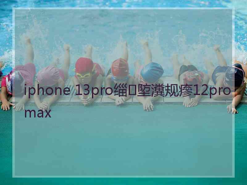 iphone 13pro缁埅瀵规瘮12promax