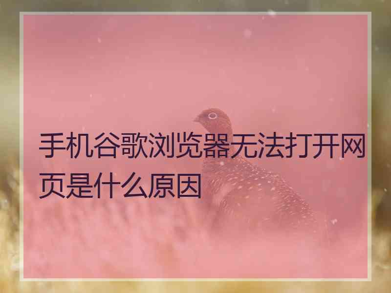 手机谷歌浏览器无法打开网页是什么原因