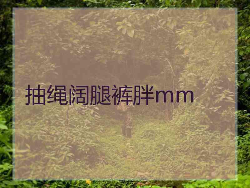 抽绳阔腿裤胖mm