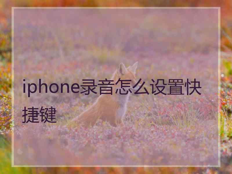 iphone录音怎么设置快捷键