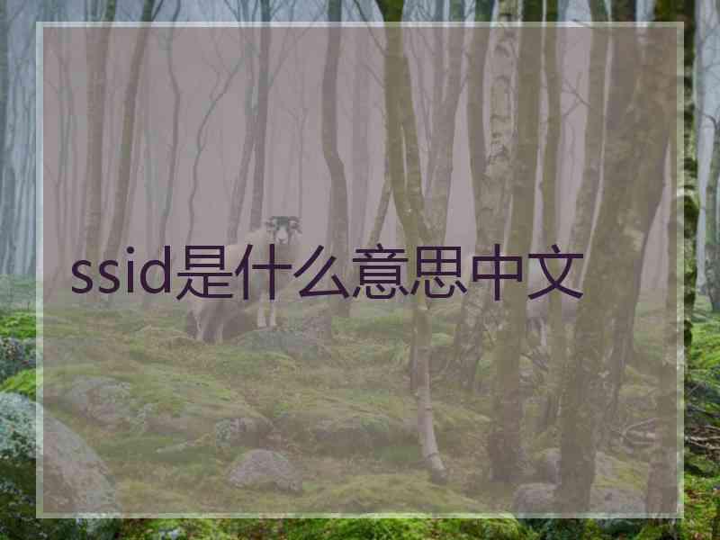 ssid是什么意思中文