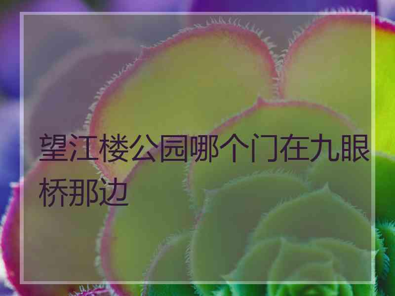 望江楼公园哪个门在九眼桥那边